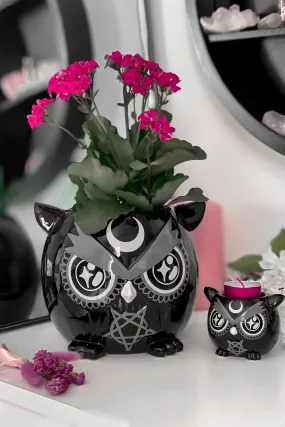 Owl Planter Resurrect